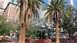 Pershing Square in Los Angeles
